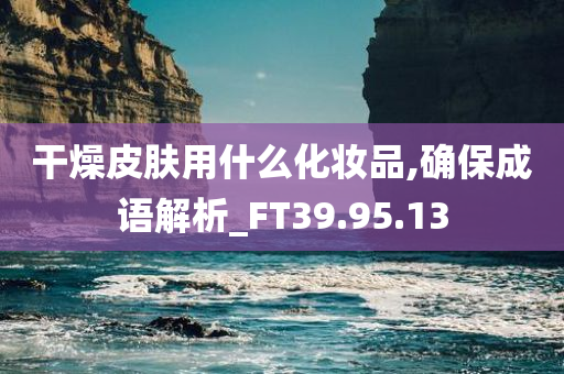 干燥皮肤用什么化妆品,确保成语解析_FT39.95.13