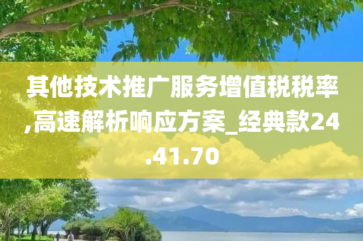 其他技术推广服务增值税税率,高速解析响应方案_经典款24.41.70