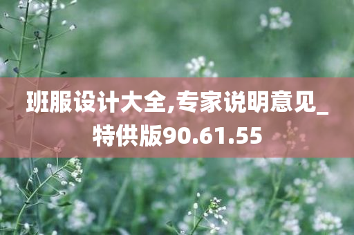 班服设计大全,专家说明意见_特供版90.61.55