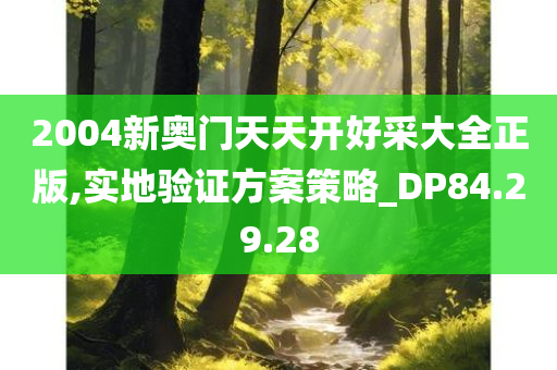 2004新奥门天天开好采大全正版,实地验证方案策略_DP84.29.28