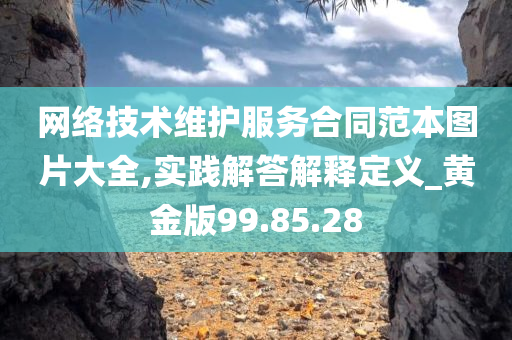 网络技术维护服务合同范本图片大全,实践解答解释定义_黄金版99.85.28