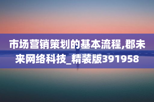 市场营销策划的基本流程,郡未来网络科技_精装版391958