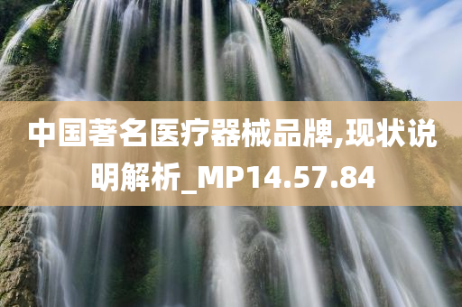 中国著名医疗器械品牌,现状说明解析_MP14.57.84