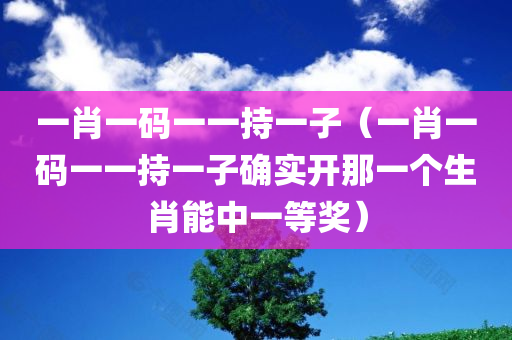 一肖一码一一持一子（一肖一码一一持一子确实开那一个生肖能中一等奖）