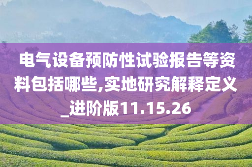 电气设备预防性试验报告等资料包括哪些,实地研究解释定义_进阶版11.15.26