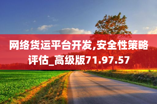 网络货运平台开发,安全性策略评估_高级版71.97.57