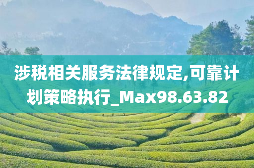 涉税相关服务法律规定,可靠计划策略执行_Max98.63.82