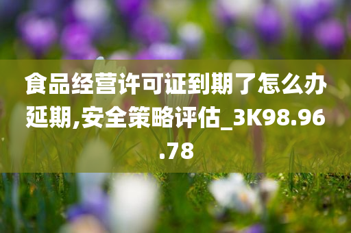 食品经营许可证到期了怎么办延期,安全策略评估_3K98.96.78