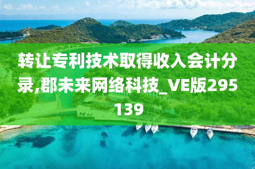 转让专利技术取得收入会计分录,郡未来网络科技_VE版295139