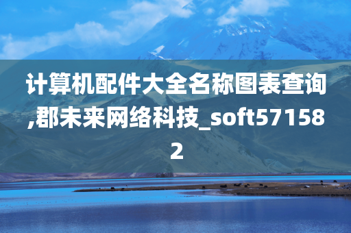 计算机配件大全名称图表查询,郡未来网络科技_soft571582