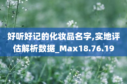 好听好记的化妆品名字,实地评估解析数据_Max18.76.19