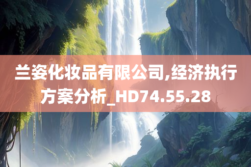 兰姿化妆品有限公司,经济执行方案分析_HD74.55.28