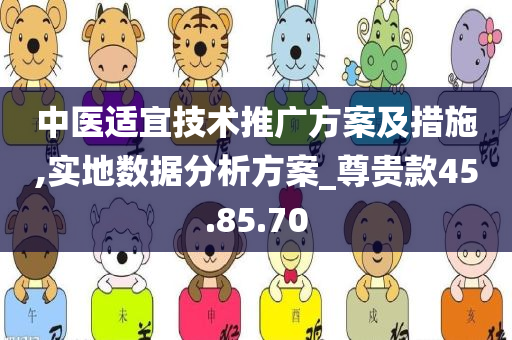 中医适宜技术推广方案及措施,实地数据分析方案_尊贵款45.85.70