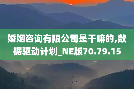 婚姻咨询有限公司是干嘛的,数据驱动计划_NE版70.79.15