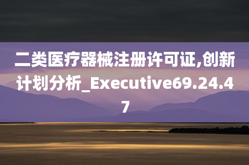 二类医疗器械注册许可证,创新计划分析_Executive69.24.47