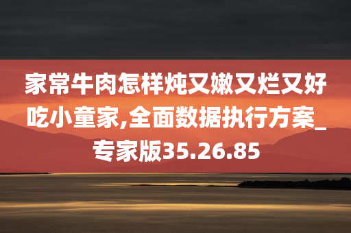 家常牛肉怎样炖又嫩又烂又好吃小童家,全面数据执行方案_专家版35.26.85