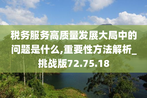 税务服务高质量发展大局中的问题是什么,重要性方法解析_挑战版72.75.18