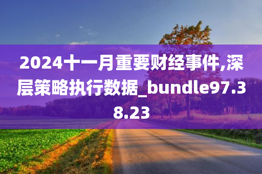 2024十一月重要财经事件,深层策略执行数据_bundle97.38.23