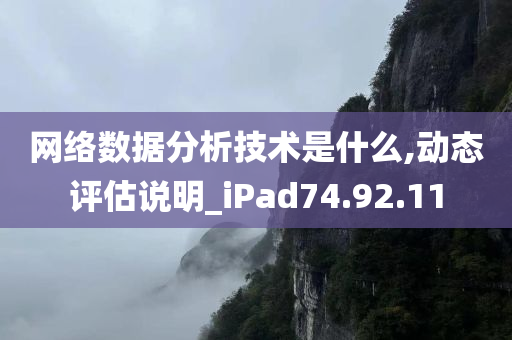 网络数据分析技术是什么,动态评估说明_iPad74.92.11