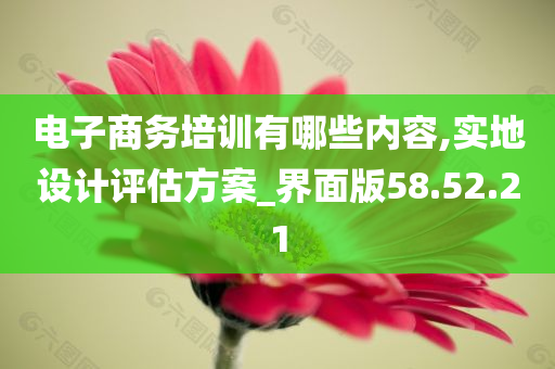 电子商务培训有哪些内容,实地设计评估方案_界面版58.52.21