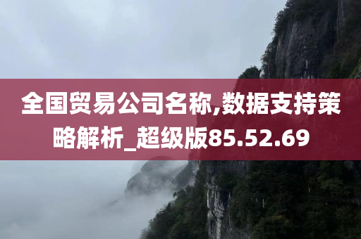 全国贸易公司名称,数据支持策略解析_超级版85.52.69