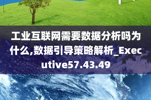 工业互联网需要数据分析吗为什么,数据引导策略解析_Executive57.43.49