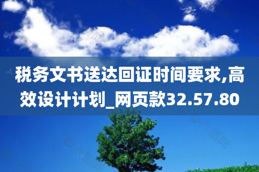 税务文书送达回证时间要求,高效设计计划_网页款32.57.80