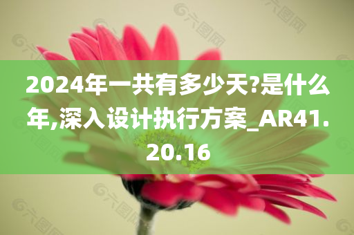 2024年一共有多少天?是什么年,深入设计执行方案_AR41.20.16