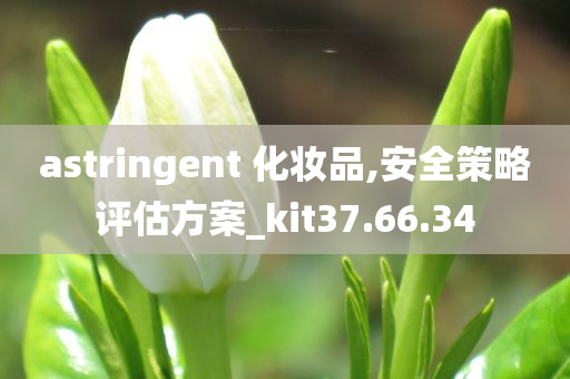 astringent 化妆品,安全策略评估方案_kit37.66.34