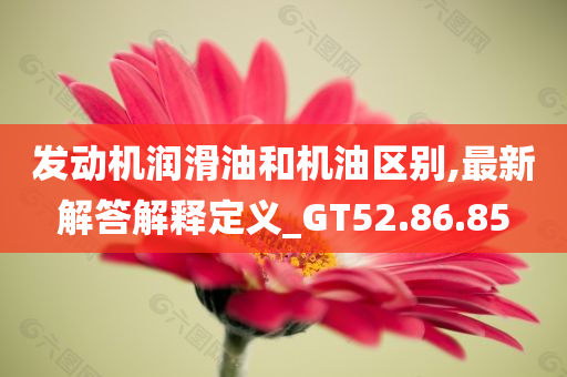 发动机润滑油和机油区别,最新解答解释定义_GT52.86.85