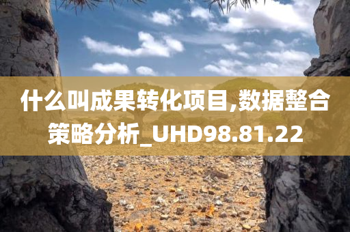 什么叫成果转化项目,数据整合策略分析_UHD98.81.22