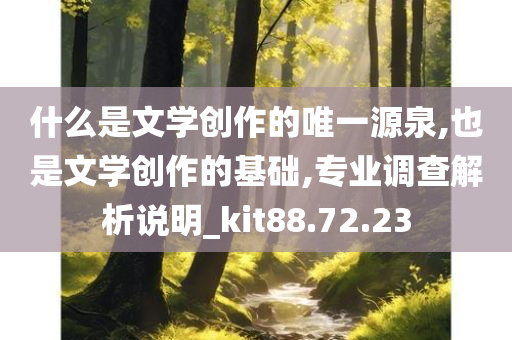 什么是文学创作的唯一源泉,也是文学创作的基础,专业调查解析说明_kit88.72.23