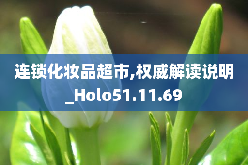 连锁化妆品超市,权威解读说明_Holo51.11.69