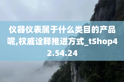 仪器仪表属于什么类目的产品呢,权威诠释推进方式_tShop42.54.24