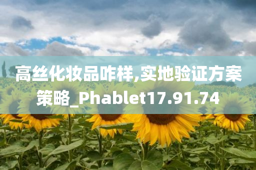 高丝化妆品咋样,实地验证方案策略_Phablet17.91.74