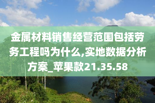 金属材料销售经营范围包括劳务工程吗为什么,实地数据分析方案_苹果款21.35.58