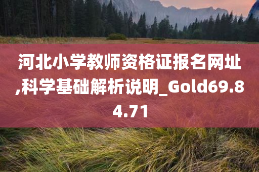 河北小学教师资格证报名网址,科学基础解析说明_Gold69.84.71