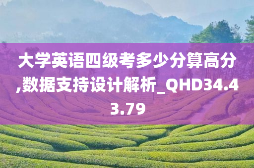 大学英语四级考多少分算高分,数据支持设计解析_QHD34.43.79