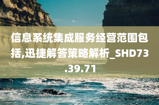 信息系统集成服务经营范围包括,迅捷解答策略解析_SHD73.39.71