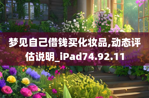 梦见自己借钱买化妆品,动态评估说明_iPad74.92.11