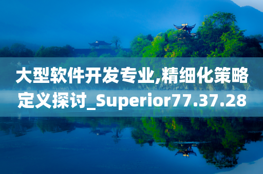 大型软件开发专业,精细化策略定义探讨_Superior77.37.28