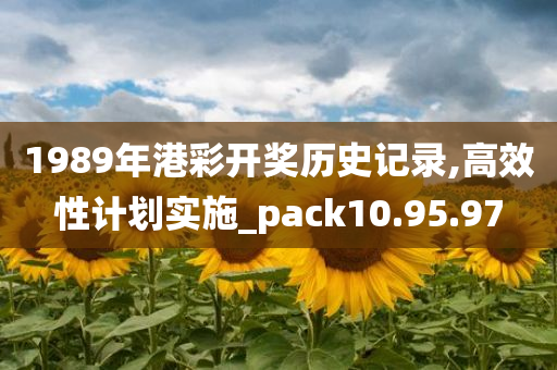 1989年港彩开奖历史记录,高效性计划实施_pack10.95.97