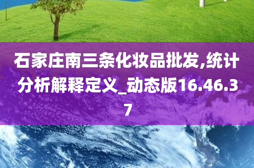 石家庄南三条化妆品批发,统计分析解释定义_动态版16.46.37