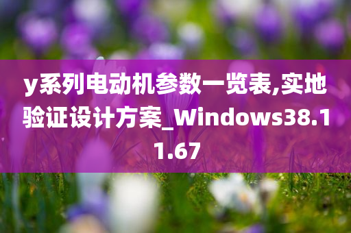 y系列电动机参数一览表,实地验证设计方案_Windows38.11.67