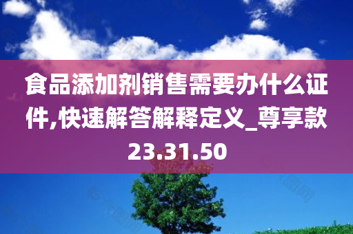 食品添加剂销售需要办什么证件,快速解答解释定义_尊享款23.31.50