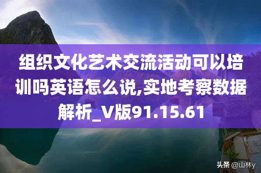 组织文化艺术交流活动可以培训吗英语怎么说,实地考察数据解析_V版91.15.61