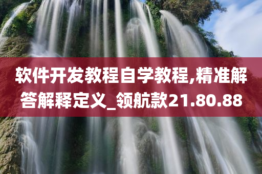 软件开发教程自学教程,精准解答解释定义_领航款21.80.88