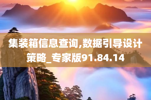 集装箱信息查询,数据引导设计策略_专家版91.84.14