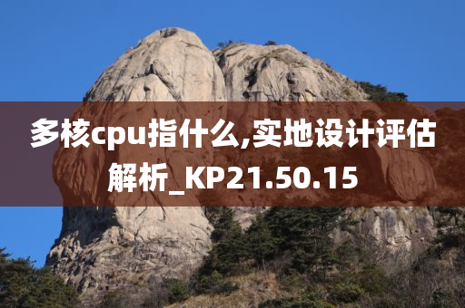 多核cpu指什么,实地设计评估解析_KP21.50.15