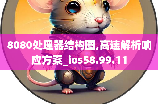 8080处理器结构图,高速解析响应方案_ios58.99.11